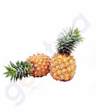 Fruits - Pineapple (MALAYSIA)
