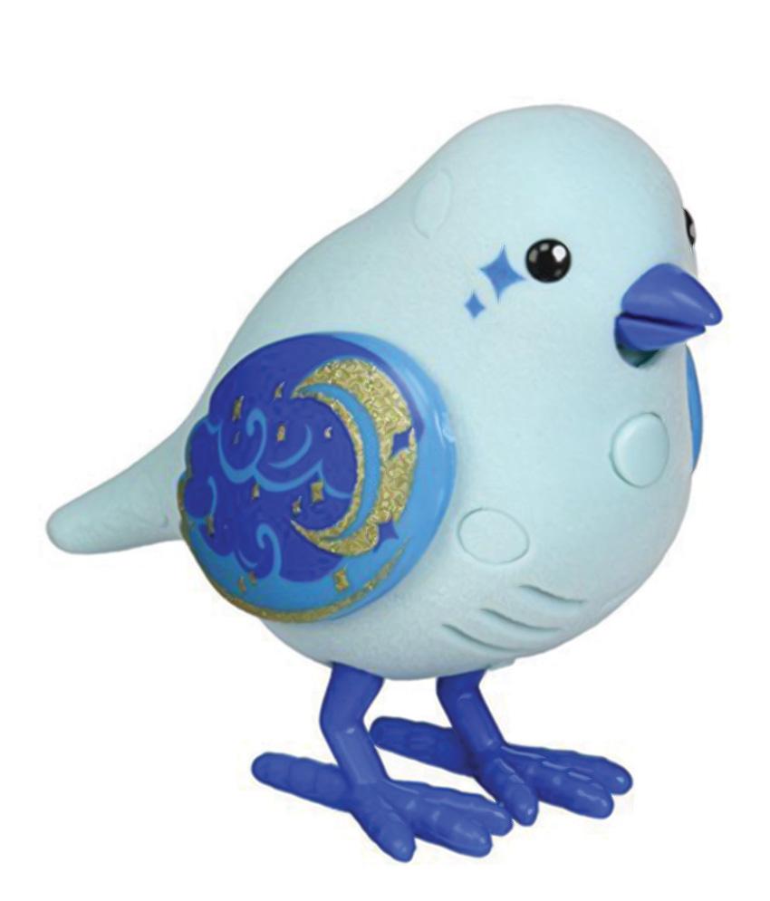 Molly's bird outlet toys