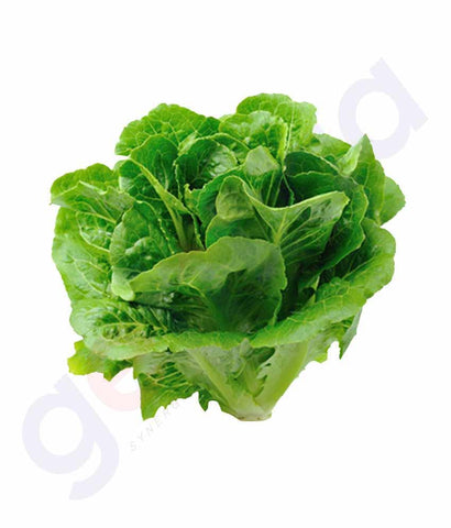 Vegetables - Lettuce 500 Gm