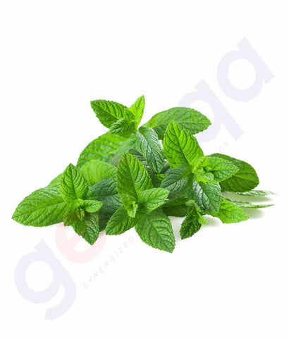 Vegetables - Mint-leaf 1 Bunch - 100gm